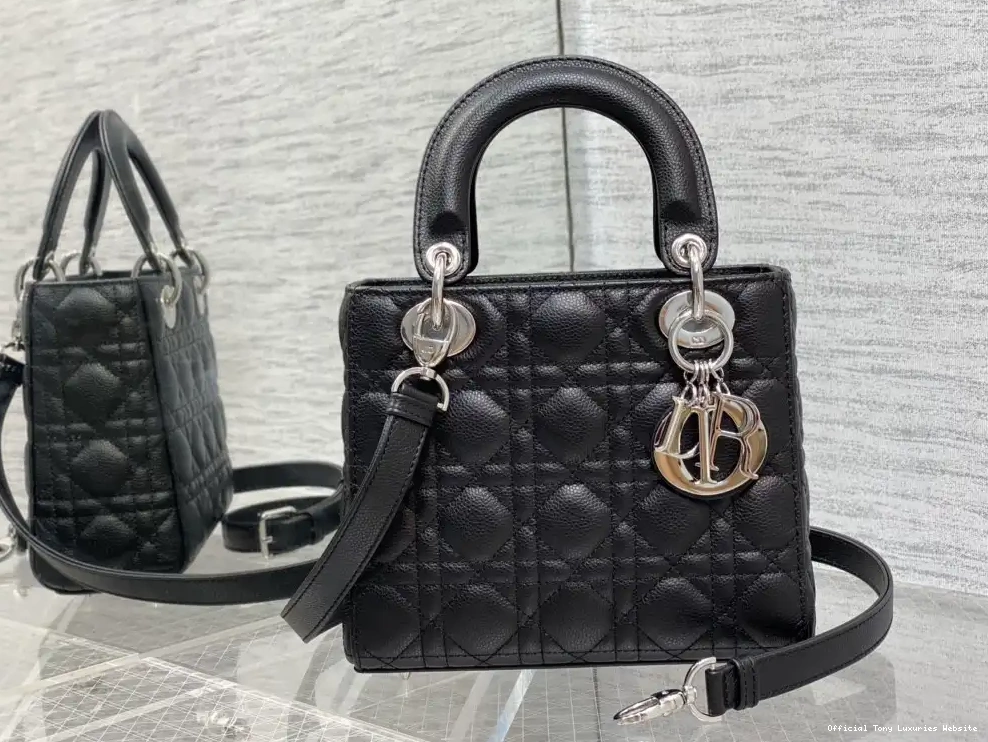 Lady Calfskin-20-16.5-8CM Small diro 0520
